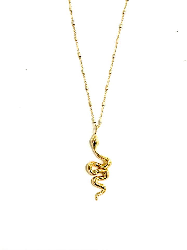 Snake Charm Necklace