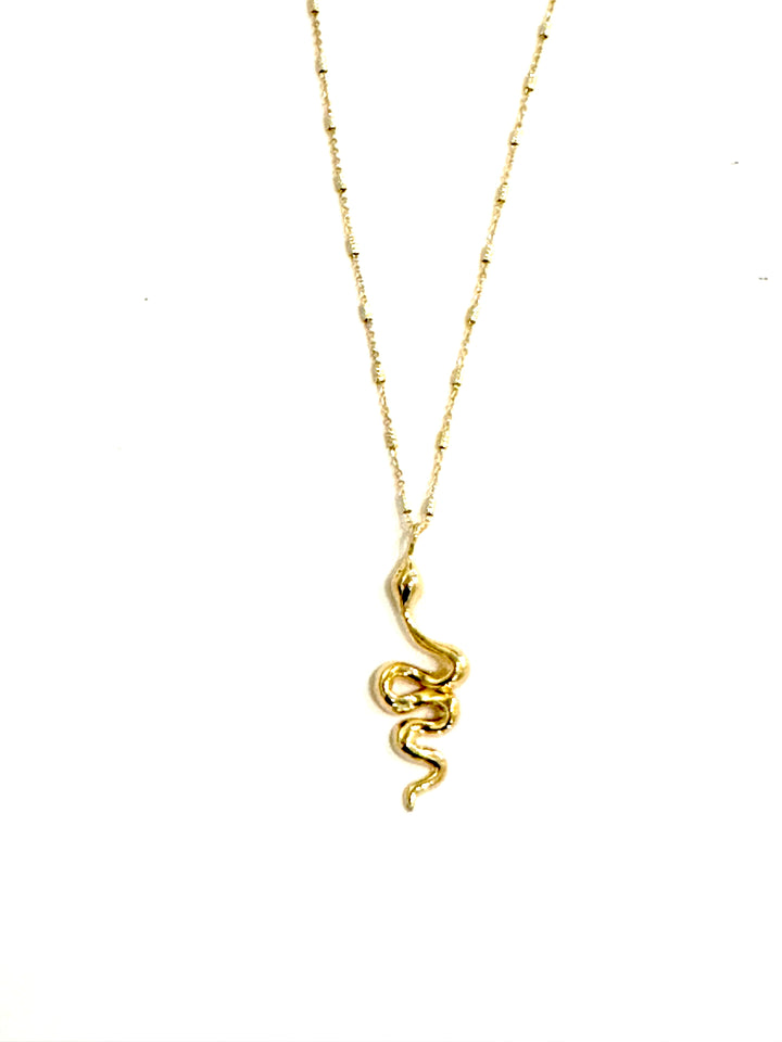 Snake Charm Necklace