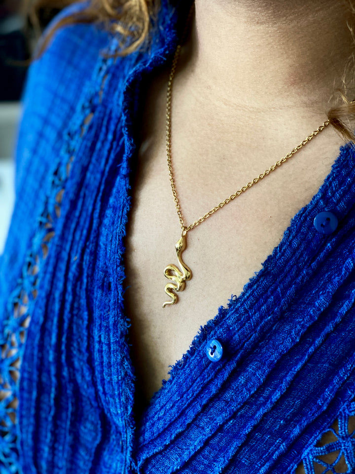 Snake Charm Necklace